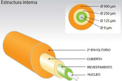 Estructura interna fibra